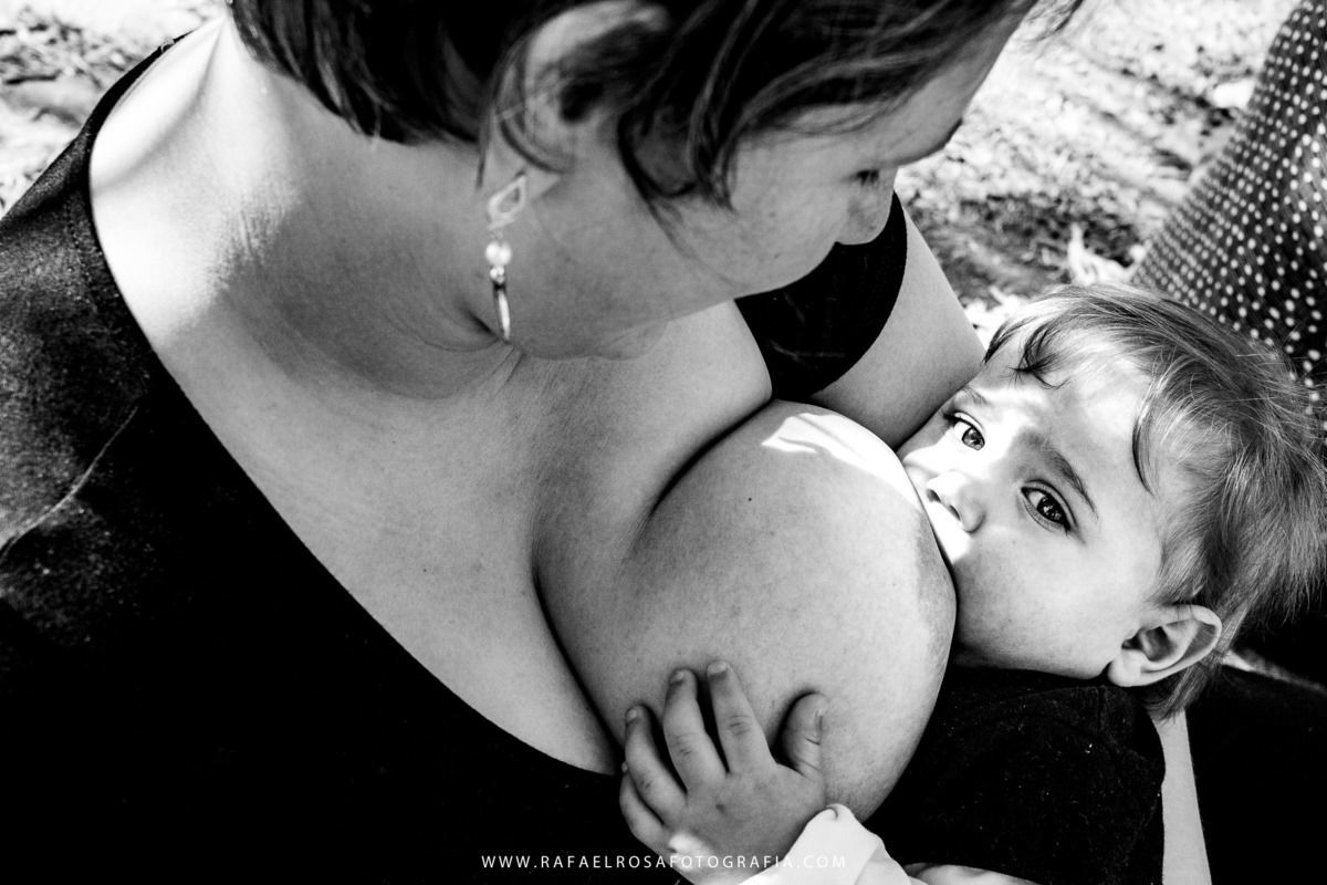 Foto 1 Mamaço de Gravataí Foto 1 Mamaço de Gravataí - Imagem 8